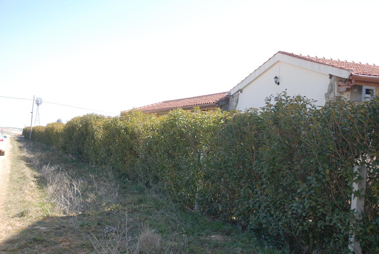 Casa Rural Teso De La Encina Villamor de los Escuderos Exterior foto